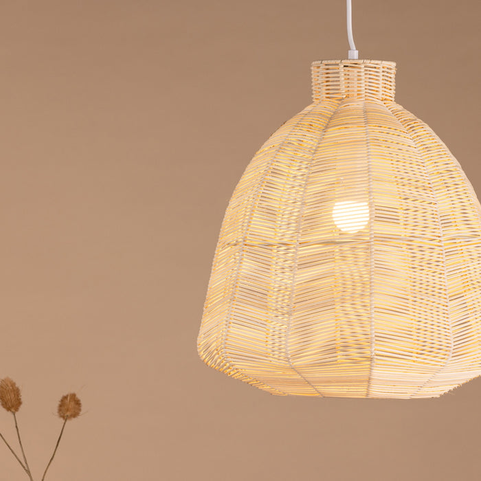 a54b25a9-4398-4527-99b2-d83133a57e81-afbeelding4.jpg (10017434)