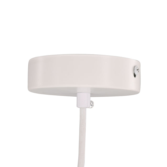 a54b25a9-4398-4527-99b2-d83133a57e81-afbeelding6.jpg (10017450)