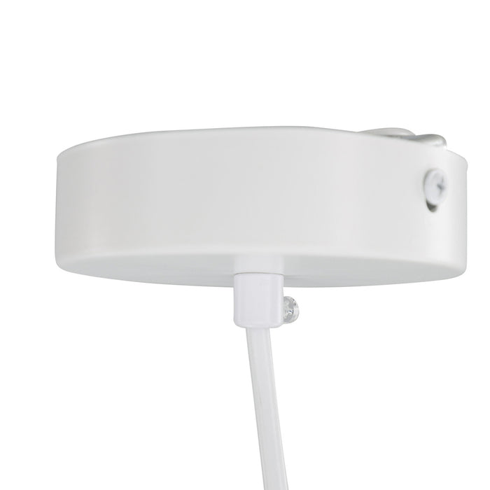 00277906-1783-4323-bc48-a41af4cd4b2b-afbeelding6.jpg (10020000)