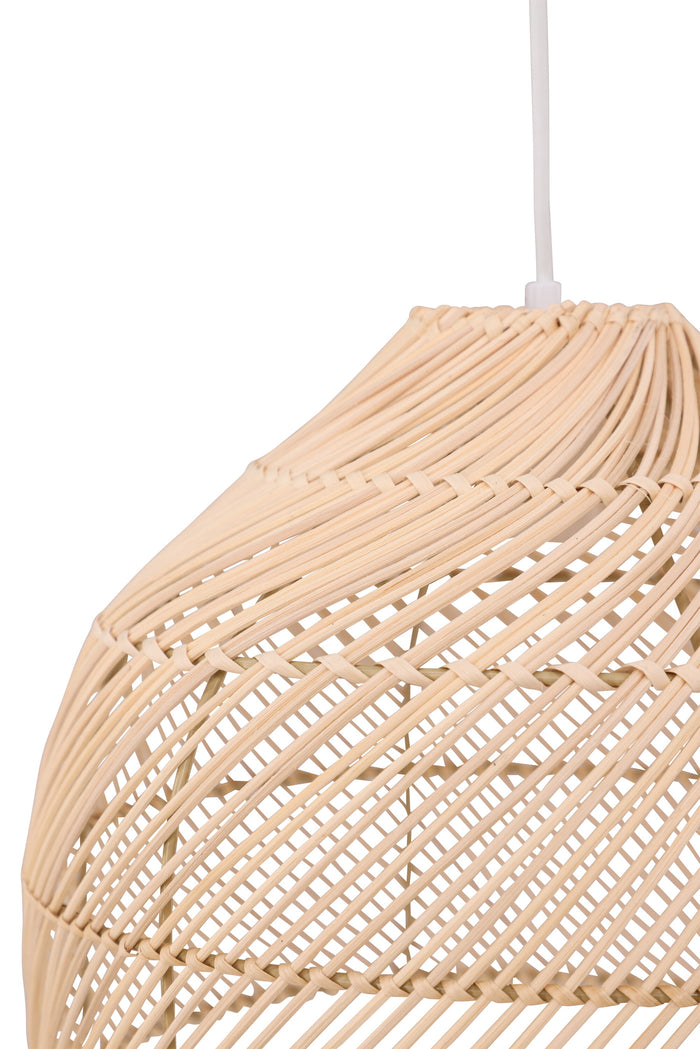 00277906-1783-4323-bc48-a41af4cd4b2b-afbeelding8.jpg (10020020)