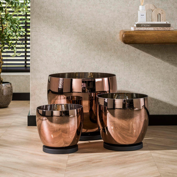 21431ff3-4fea-4d43-84d4-9fee20705c5b-afbeelding5.jpg (10021487)