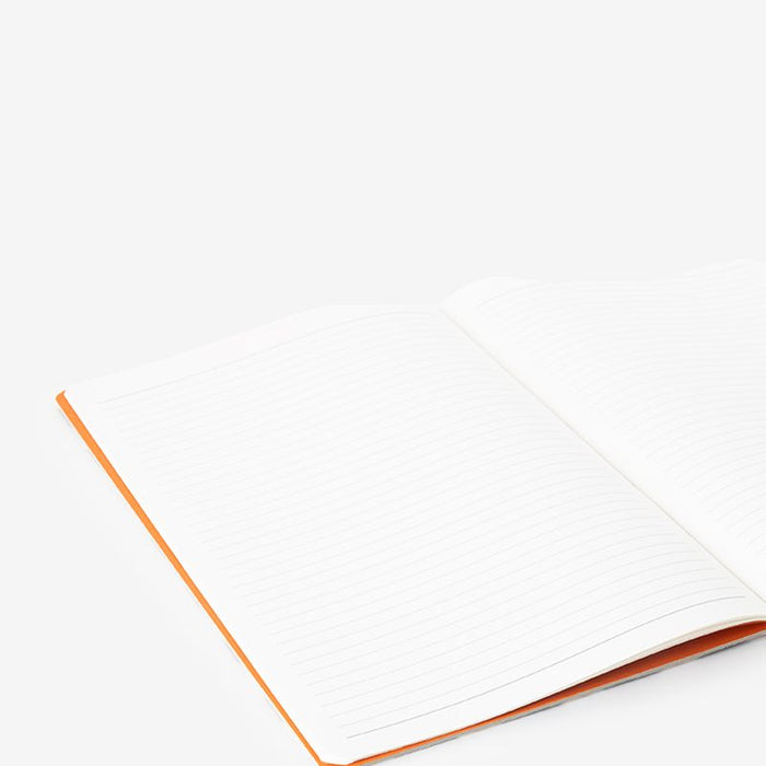 dbd82991-b85c-4cb8-ba56-f0b4129c70b2-afbeelding4.jpg (10033416)