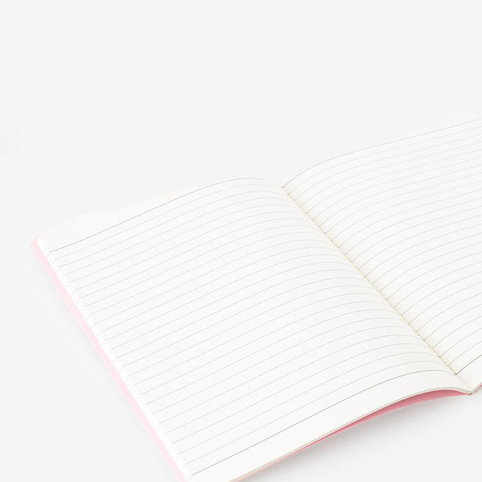 538e48a8-7493-4d5f-aed7-c6c136636249-afbeelding5.jpg (10033777)