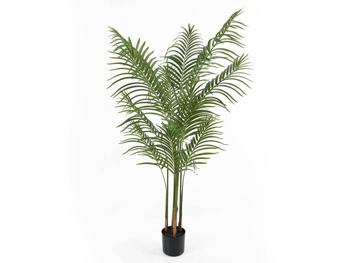 present time - Artificial Plant Kwai Tree