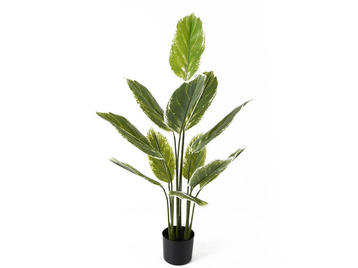 present time - Artificial Plant Calathea Large