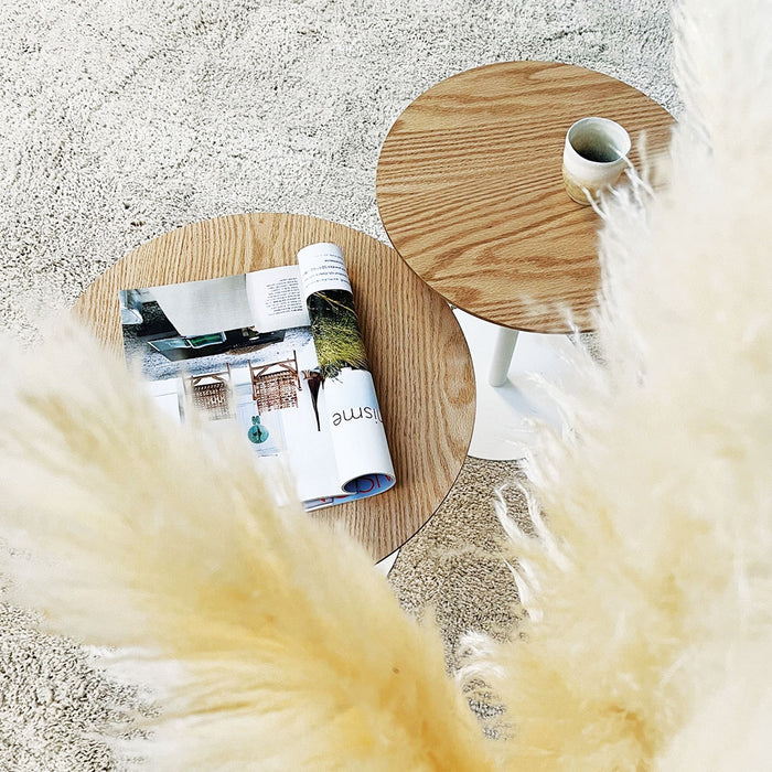 d0bcf9a4-3706-4ee9-9a24-4c446332e45f-afbeelding3.jpg (10077650)