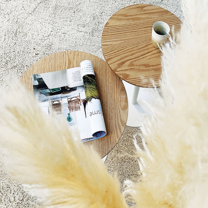 d0bcf9a4-3706-4ee9-9a24-4c446332e45f-sfeerbeeld.jpg (10078383)