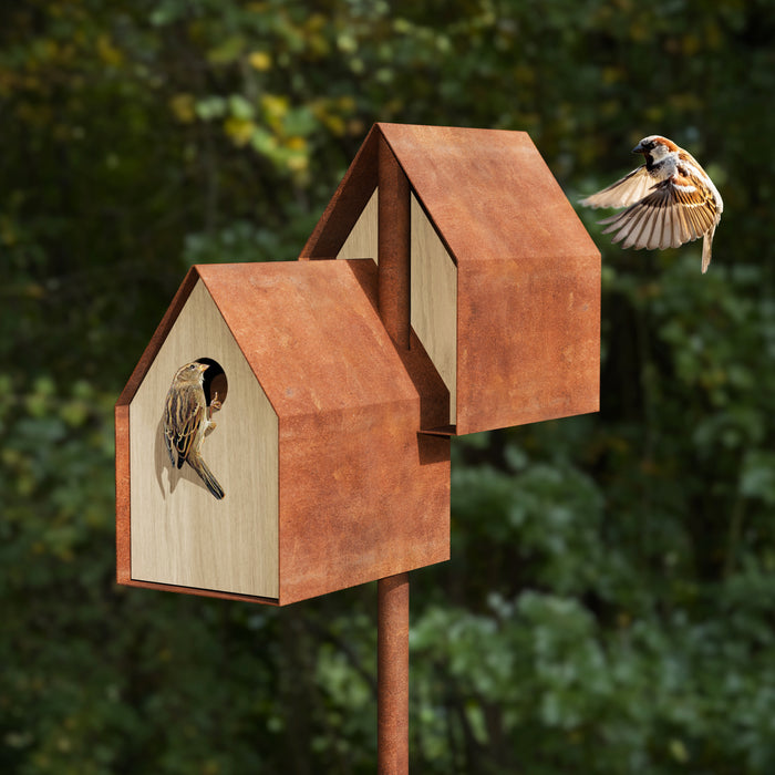 Noaste Noaber standing