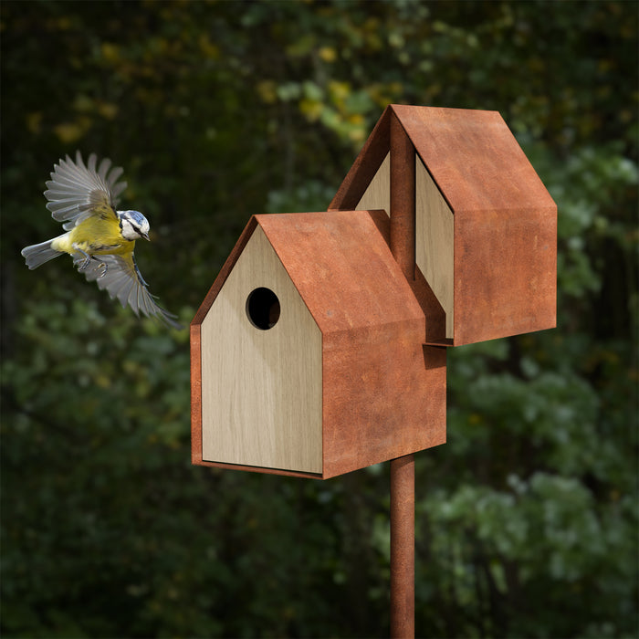 Noaste Noaber standing