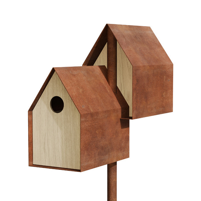 Noaste Noaber standing