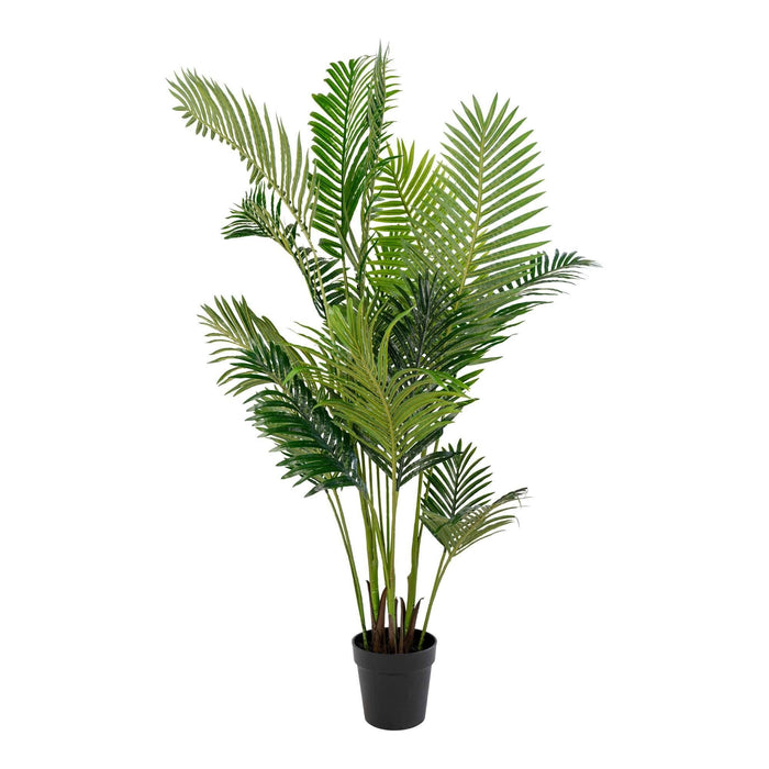 House Nordic Arecapalm Kunstplant H175 cm