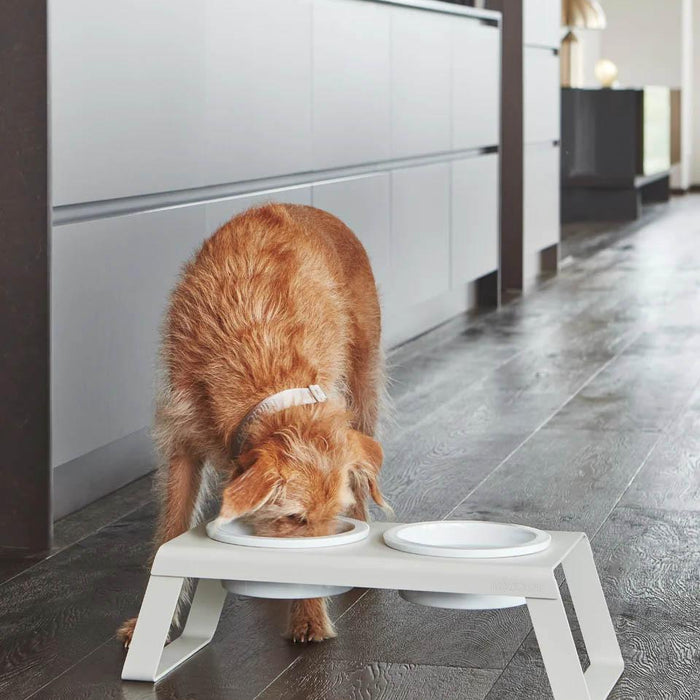 MiaCara Desco hondenvoerbak porselein small walnoot