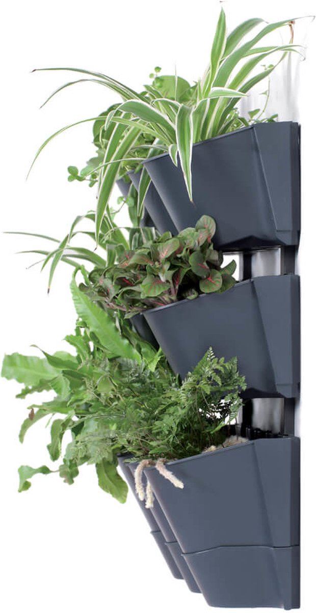 Prosperplast Plantenpotten - antraciet - L67 x B18 x H57cm