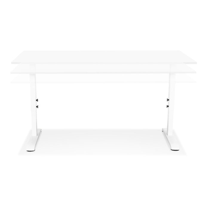 7c2852f8-a92a-41f8-b0e8-2cb4a102d7d8-afbeelding6.jpg (10180184)