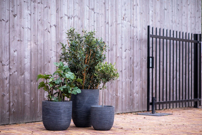 Capi Europe - Vaas elegant laag Waste Rib NL - 34x46 - Terrazzo beige