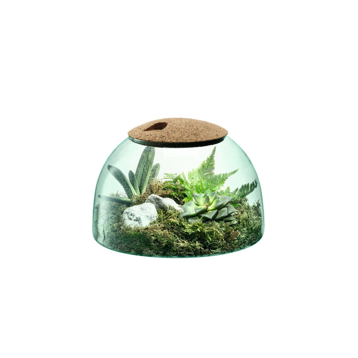 L.S.A. - Canopy Planten Terrarium 16,5cm