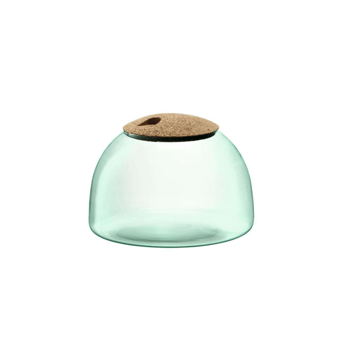 L.S.A. - Canopy Planten Terrarium 16,5cm