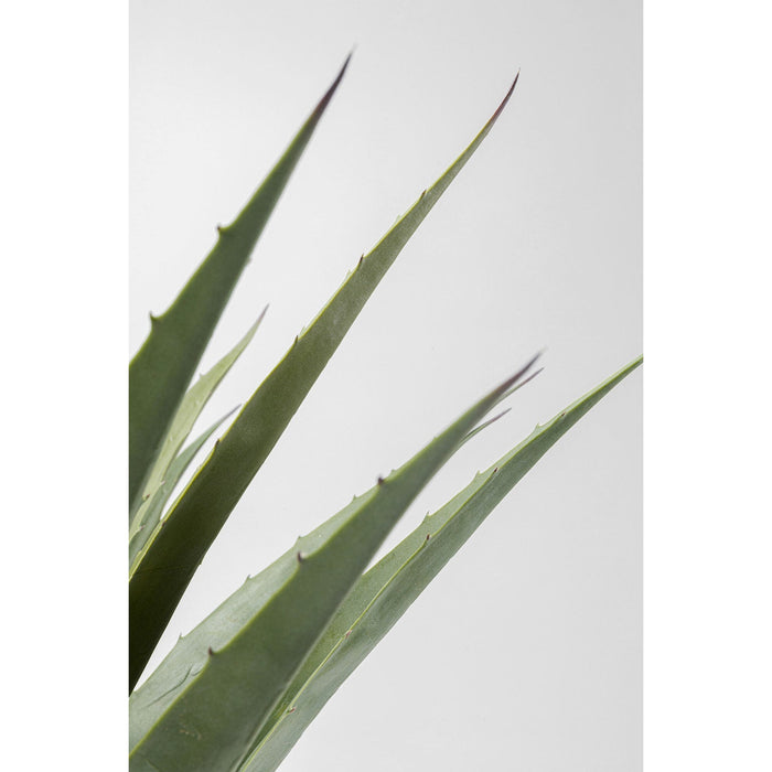 Kunstplanten agave 85cm Kare Design