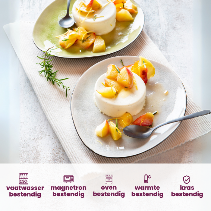 Cosy & Trendy Kleine Bordjes | Gebaksbordjes Streetfood 15 x 11.5 cm - 10 Stuks