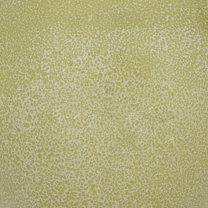 329002-x04-202504040424-A.jpg (10203655)