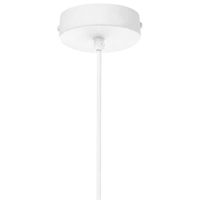 427afdaa-99ff-4916-8b6e-4a840d33c445-afbeelding7.jpg (10208332)