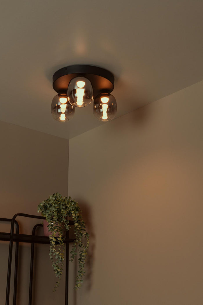 bbcd3358-2086-406a-942d-ee347674c8ea-afbeelding4.jpg (10219858)