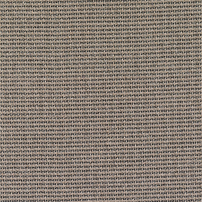 328895-x01-202504111022-C.jpg (10227525)