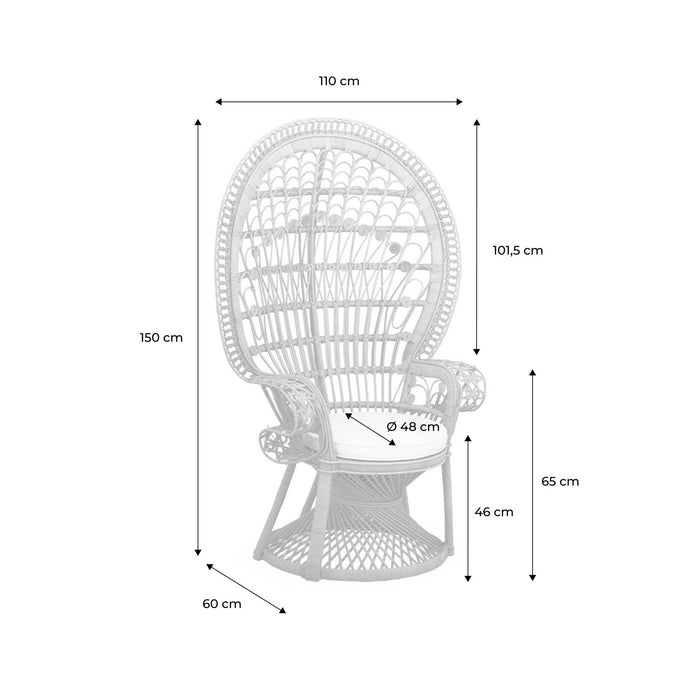 173acbf3-d2dd-4494-9e19-3e53c025342d-afbeelding4.jpg (10232268)