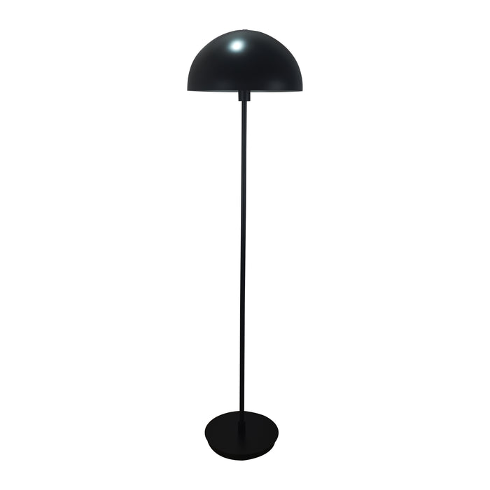 328850-x02-202504190221-C.jpg (10252550)