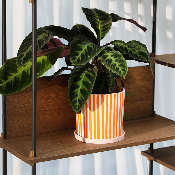 329830-x01-202504232226-A.jpg (10257269)