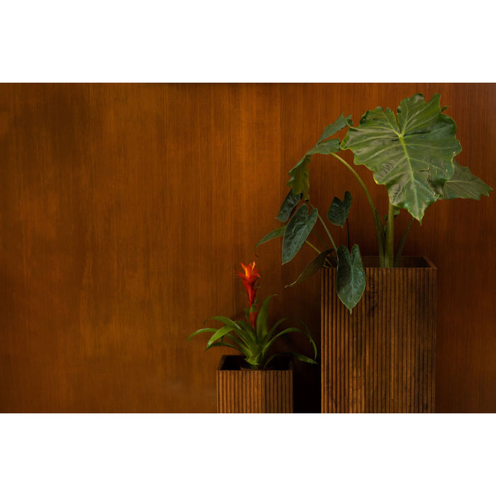 847c8311-44b8-48d0-b615-0052e1f6569d-afbeelding11.jpg (10263581)