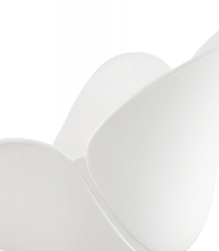 9019721d-714a-47a8-a292-63cb8a45ca90-afbeelding11.jpg (10264195)