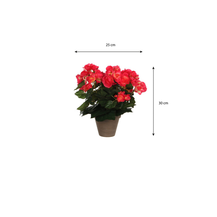 Mica Decorations Begonia Kunstplant - H30 x Ø25 cm - Donkerroze