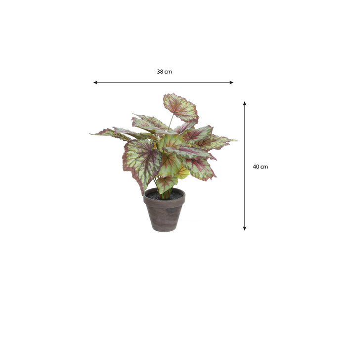 Mica Decorations Begonia Kunstplant - H40 x Ø38 cm - Rood
