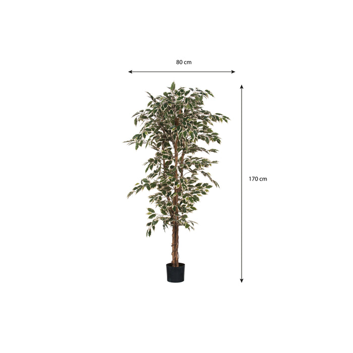 Mica Decorations Ficus Kunstplant - H180 x Ø90 cm - Groen Bont