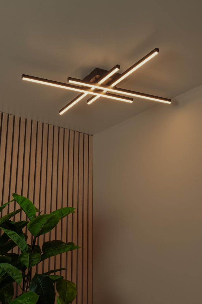 0dee0427-0db2-4a96-b23f-aac08c4b81b2-afbeelding4.jpg (10286261)