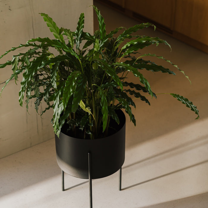 noo.ma MAKI Bloempot - breed - Storm Blue