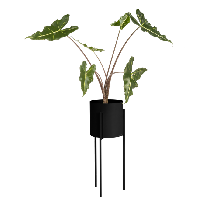 noo.ma MAKI Bloempot - lang - Vulcano Black