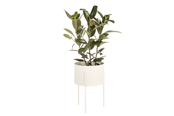 noo.ma MAKI Bloempot - breed - Piazza Beige