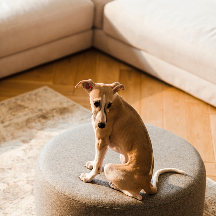 5d920385-02b1-4fad-826e-a205dfd70c83-sfeerbeeld.jpg (10287949)