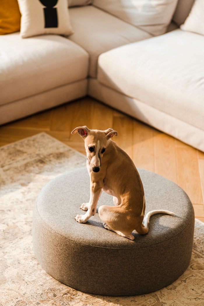 12ff7fcf-d072-49b7-b36e-57e30cf8cc40-afbeelding4.jpg (10290243)