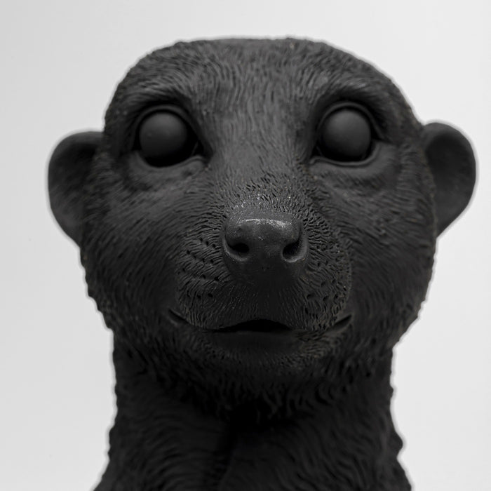 78b2c864-db72-43a5-b99d-b4fd73baedcf-afbeelding4.jpg (10309424)