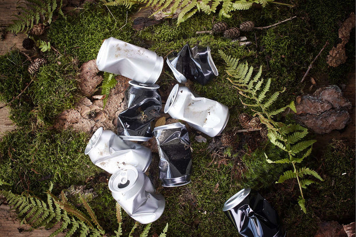 B.Green Braadpan - 28 cm - Berndes