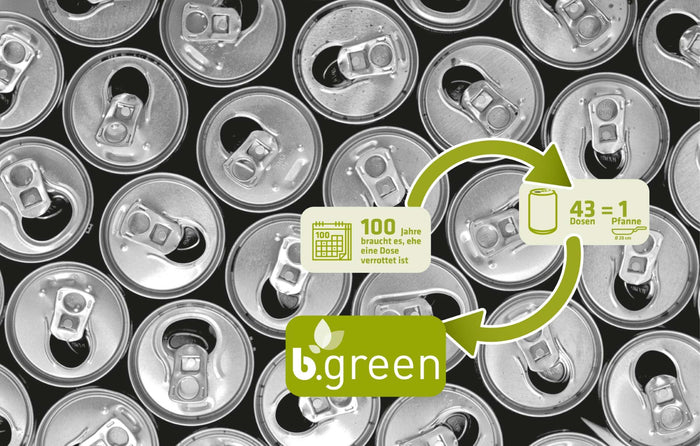 B.Green Braadpan - 28 cm - Berndes