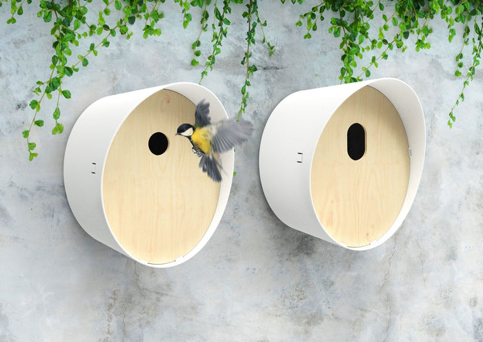 Capi Europe - Vogelhuisje ovaal - 23x19x24 - Antraciet