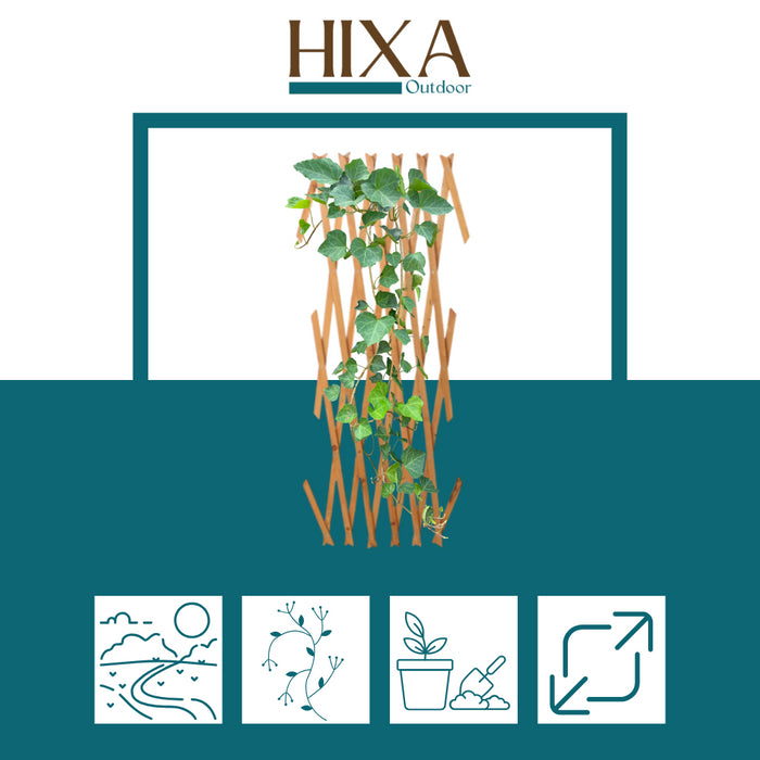 31a29f02-7a63-42b3-baa4-81febb744a19-afbeelding6.jpg (10311479)