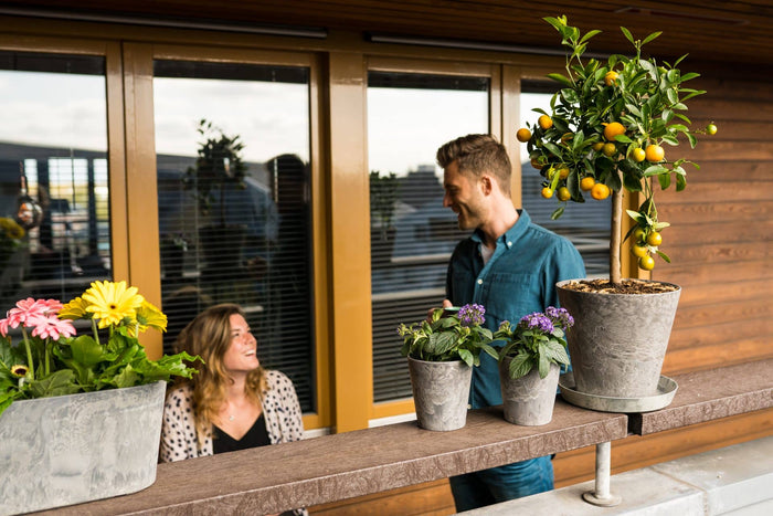 Artstone Balkonbak Claire - 35x16x17 - Oak