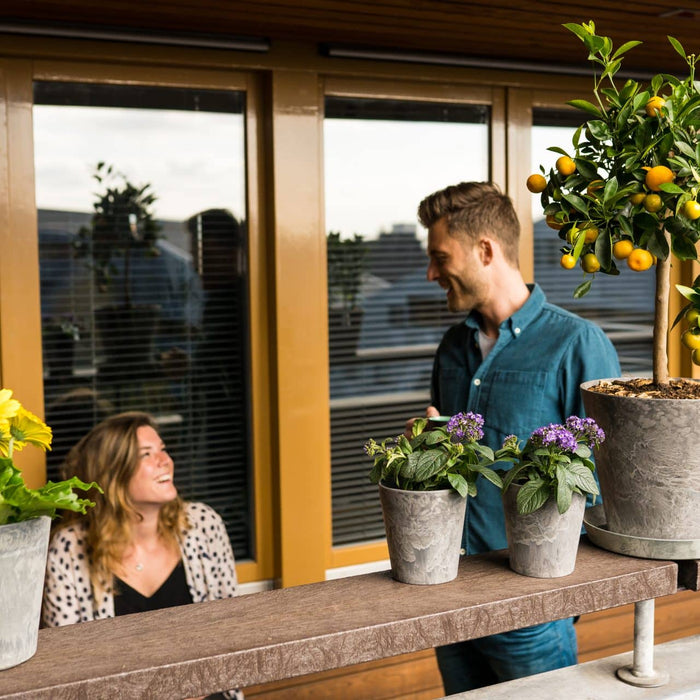 Artstone Balkonbak Claire - 55x16x17 - Grijs