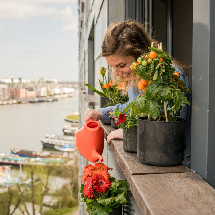 Artstone Balkonbak Claire - 55x16x17 - Grijs