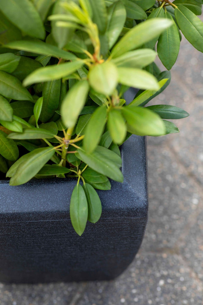 Capi Europe Bloembak rechthoek Arc Granite - 60x35x40 - Warm taupe